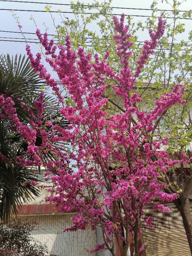 妻子背叛了我该怎么走出来,发现妻子背叛了你怎么办