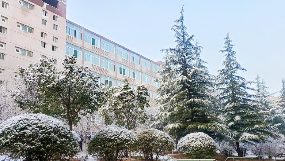 山东省48所高职高专3+2学校有哪些,山东职专公办院校有哪些