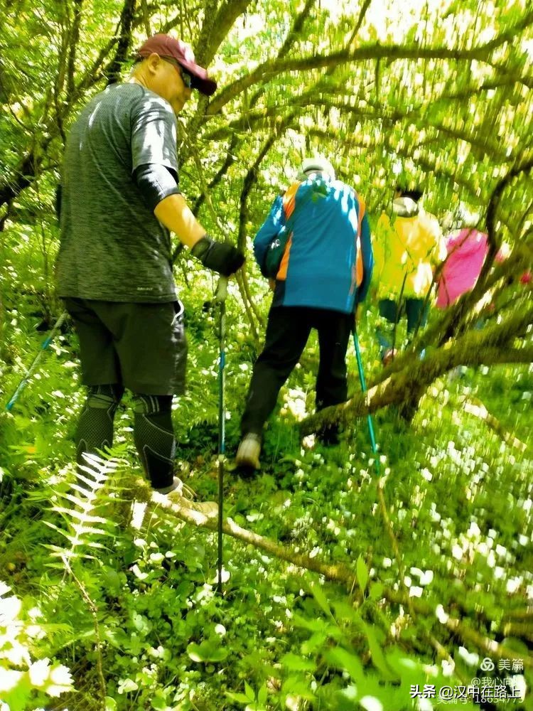 汉中圈子崖天坑,汉中镇巴圈子崖天坑旅游攻略