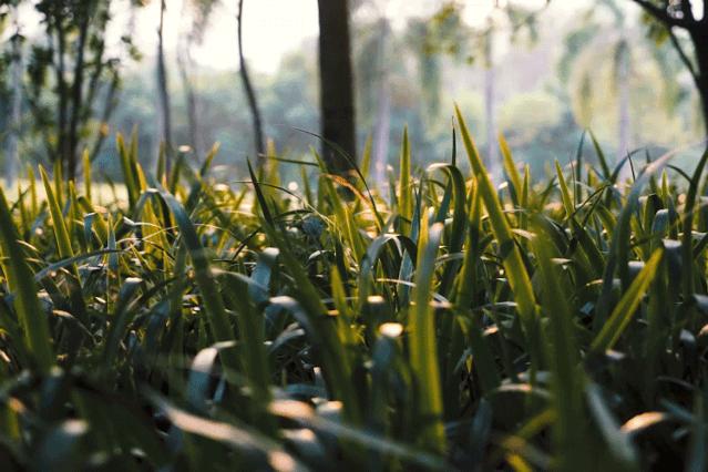 珠海适合家庭一天游的地方,珠海家庭出游最佳去处