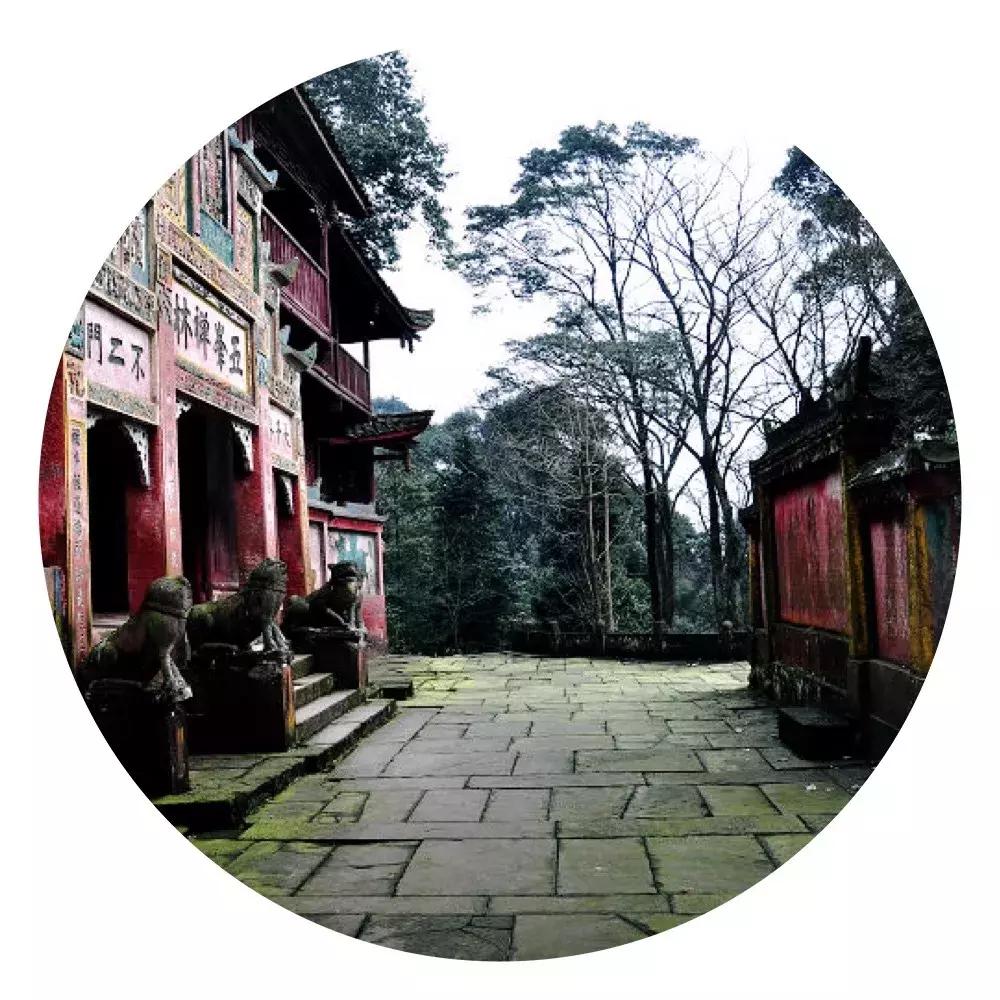 甘露茶正确泡法,系辞白话讲解