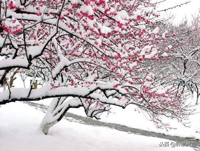 古今诗词里有哪些咏雪的诗句,十首最美咏雪诗词