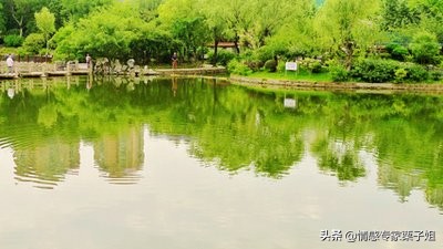 情感咨询|栗子姐每日情感问答（0330）