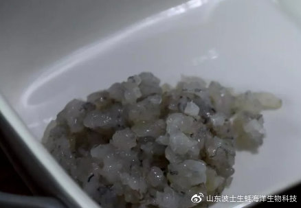 怎么样烤乳山生蚝最好吃,烤生蚝价值百万的秘方送你了