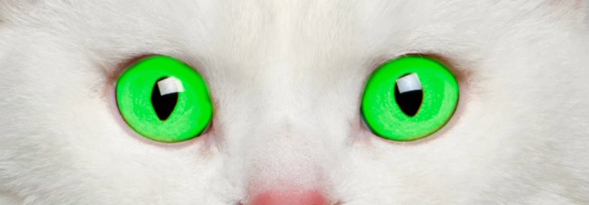 怎么在ps中更改照片底色,ps怎么改人的眼睛颜色