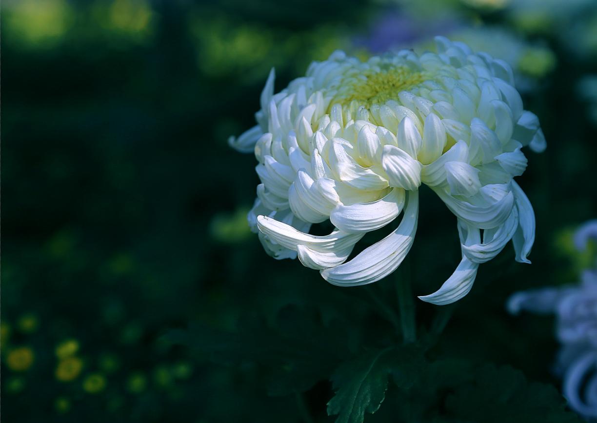 摄影后期如何处理颜色,摄影照片后期处理教程