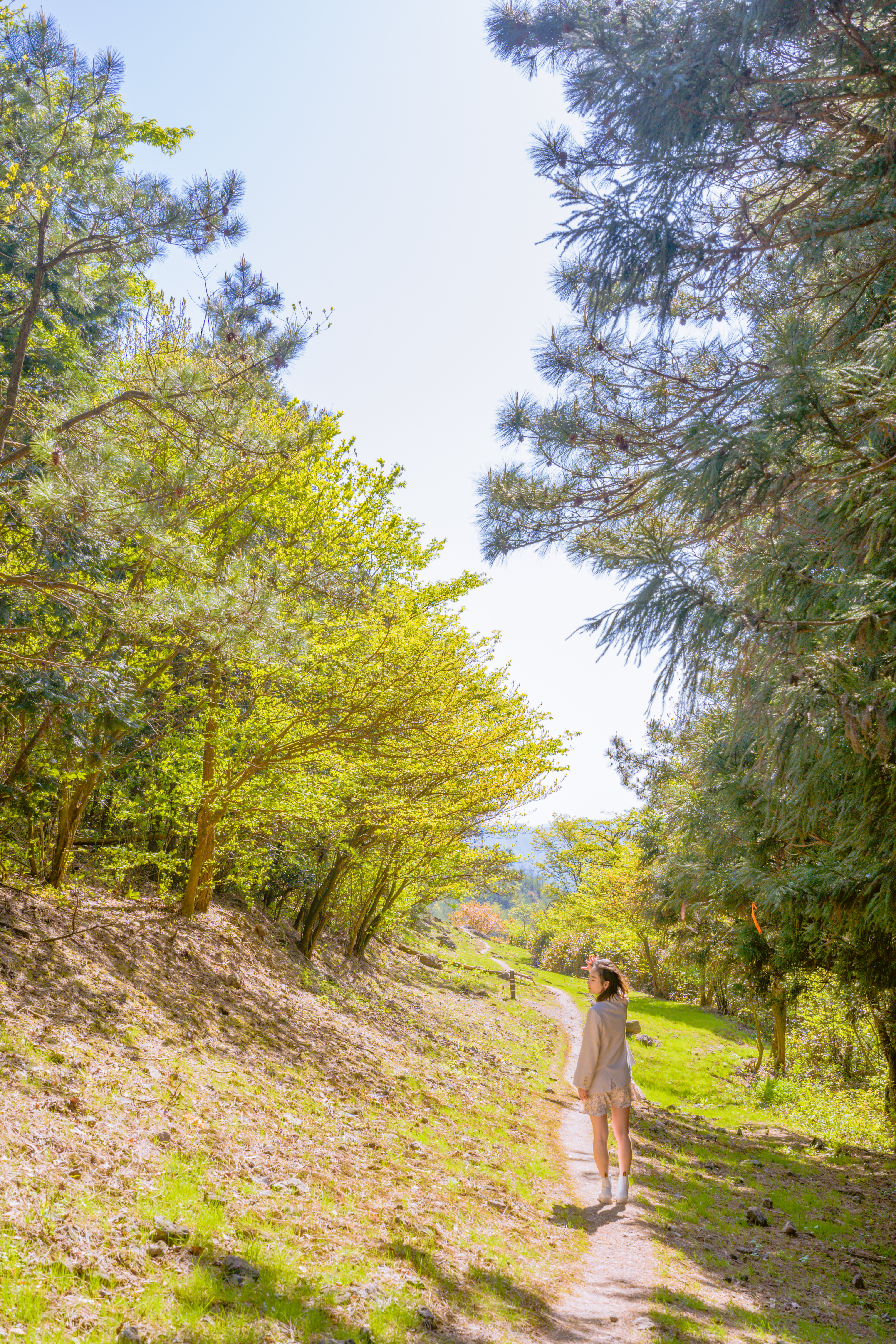 商量岗内的这家酒店,四季气候适宜居住,住客宛若身处桃花源