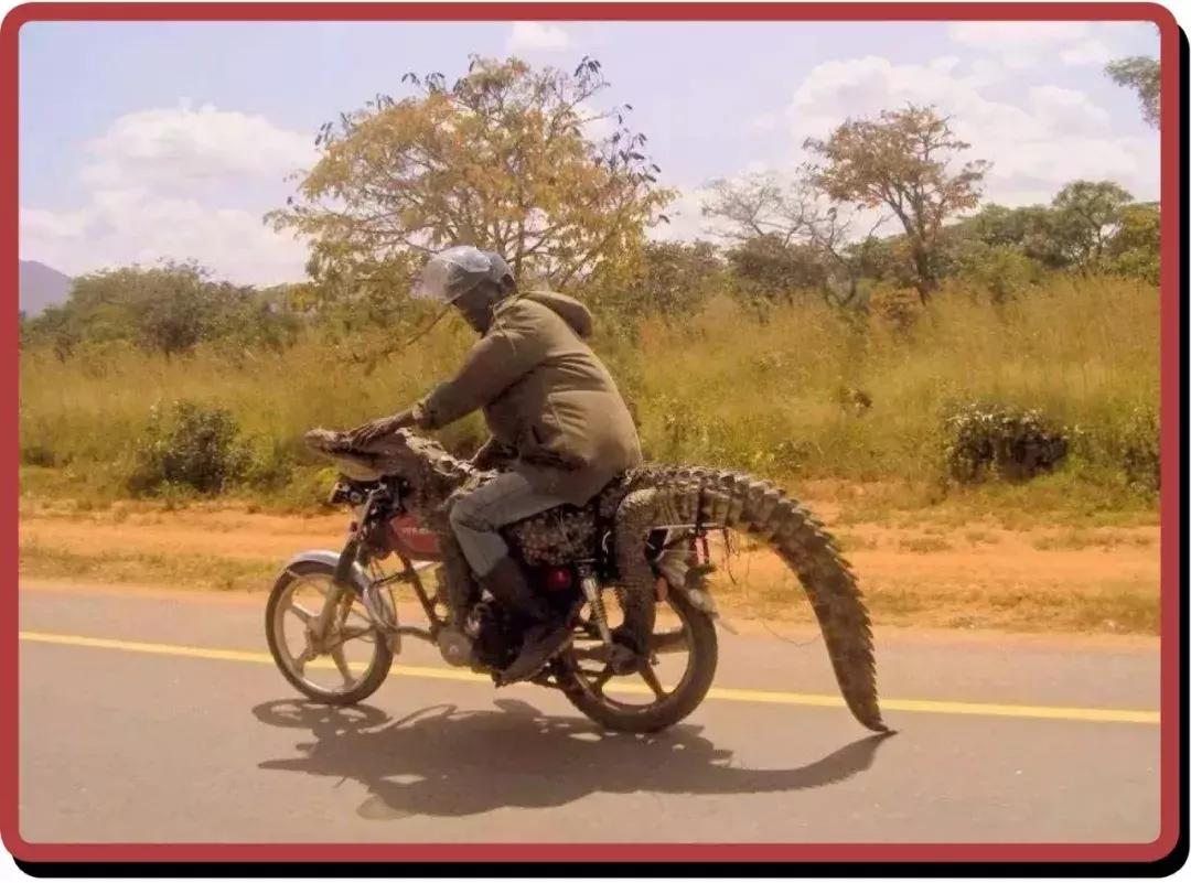 非洲黑叔叔的人体物流有多猛？