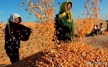 十大吸金行业,2014最赚钱行业排名