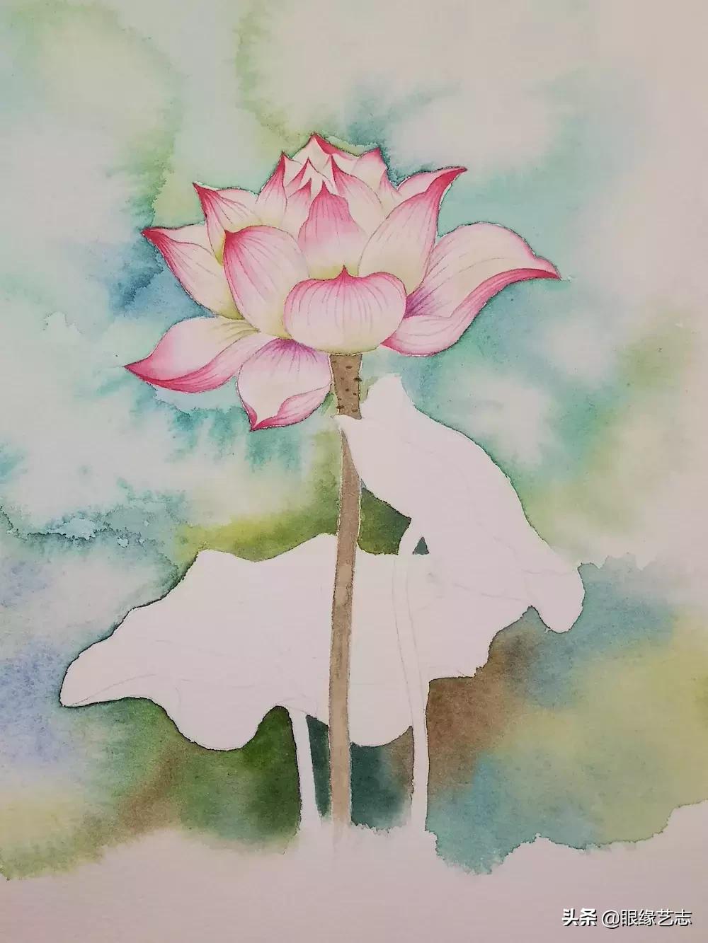 水彩莲花画法教程,白色荷花水彩画法教程