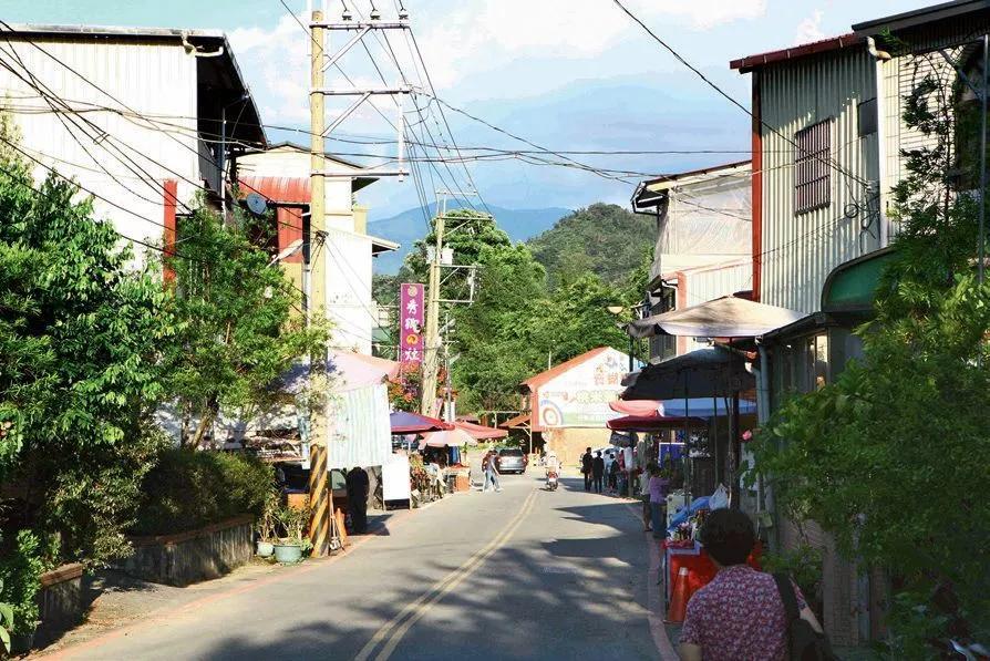 第100只猴子效应——台湾桃米生态村的“造人”计划