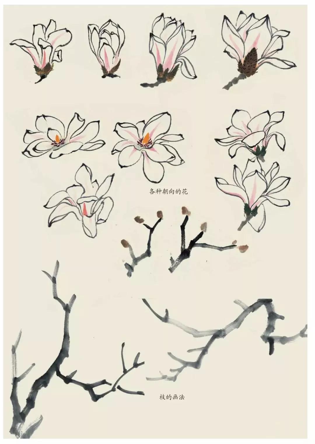 国画春景花鸟图,正是春天好风景