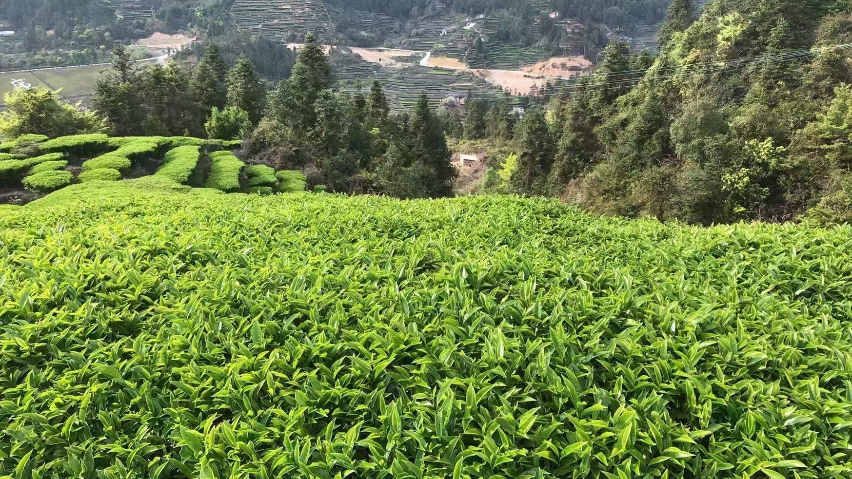 山沟沟的风景不错啊,山沟沟的风景是不是很美