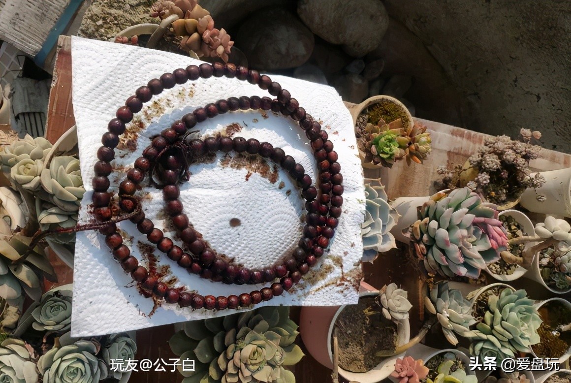 星月抹橄榄油,星月抹油多久吸收