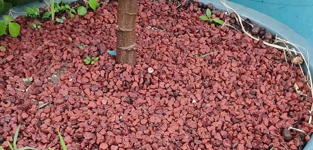 盆栽稻壳,稻壳盆栽的优点和弊端