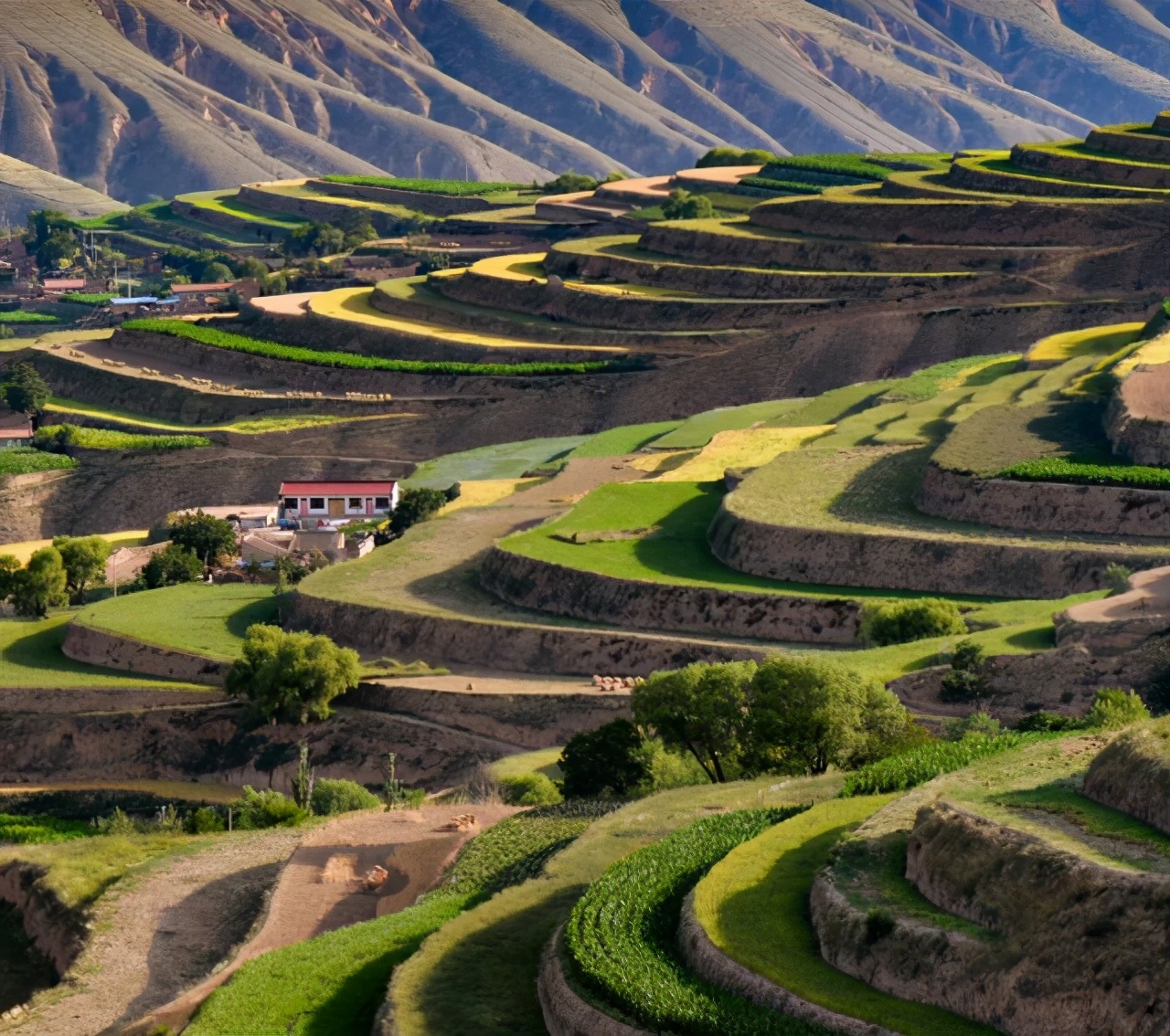 兰州小学生班会,记忆最深的一次班会