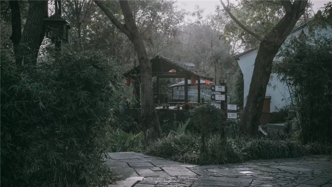 西溪天堂令人沉醉的江南梦境,城市的夜晚江南水乡美如画