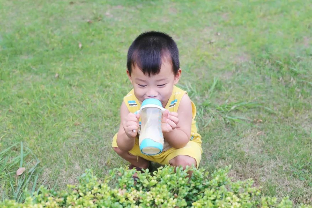 宝宝有机口粮推荐,回购奶粉口粮文案