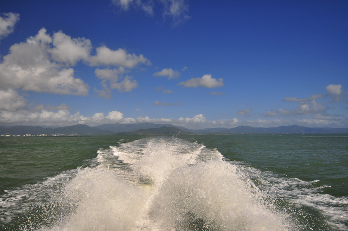 全民热遗|大堡礁上有个翡翠岛,绝美好玩,还是海龟康复中心