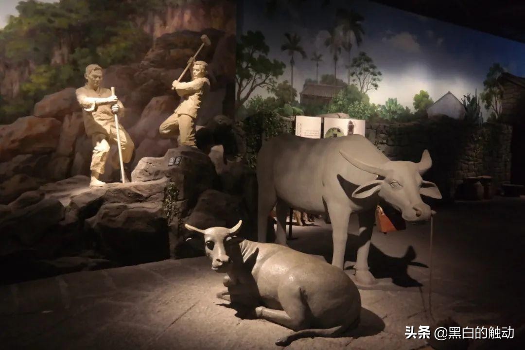 我们过年有哪些习俗,我们过年了舞蹈