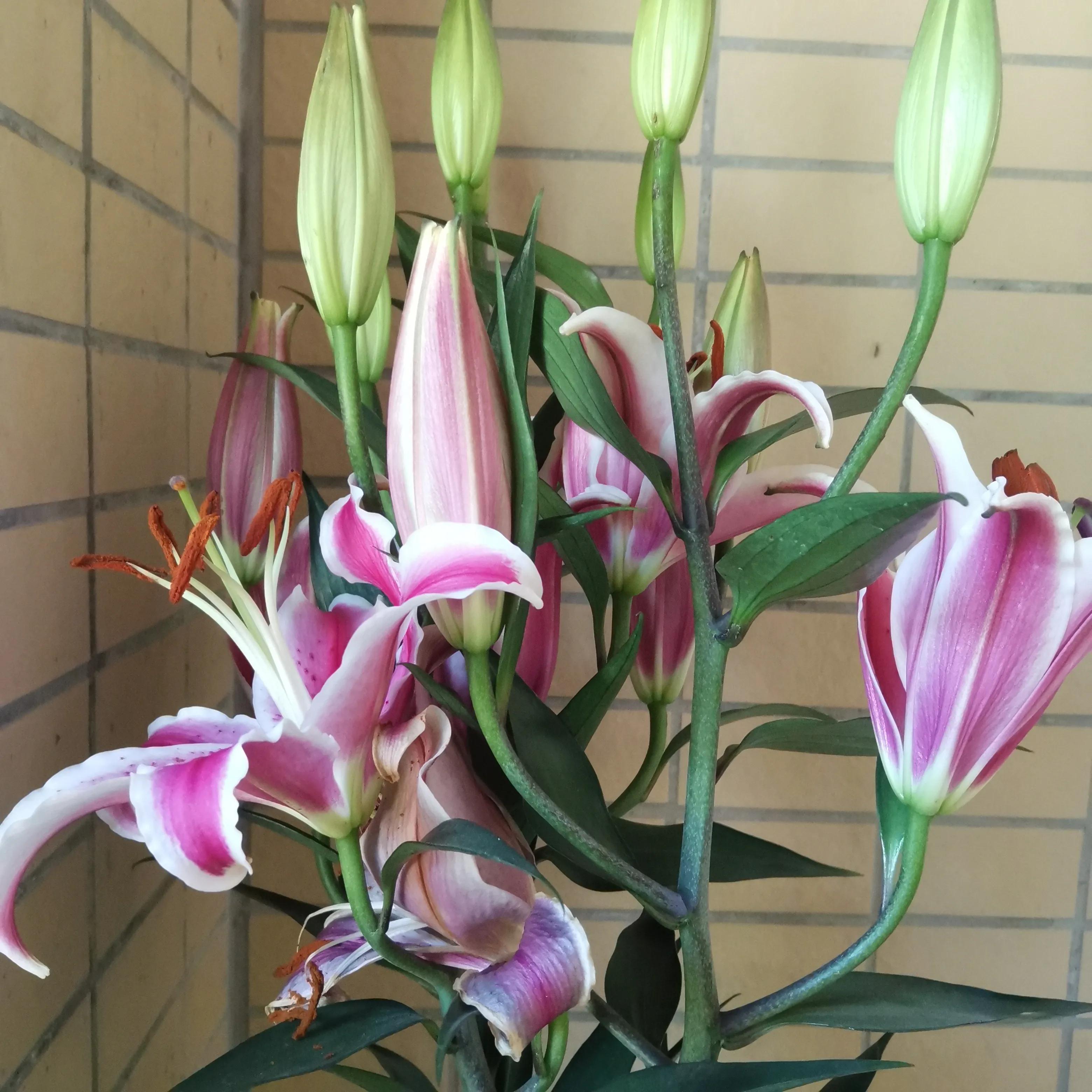 保持个性活出自我,做人要靠自己经典语录