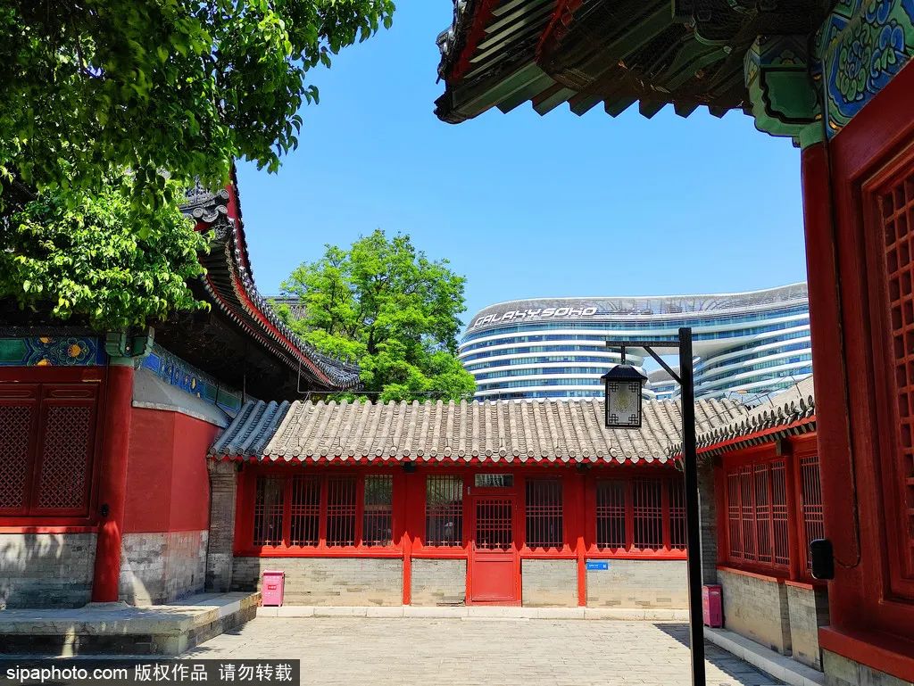 一个地铁站三条线,地铁边的吃喝玩乐