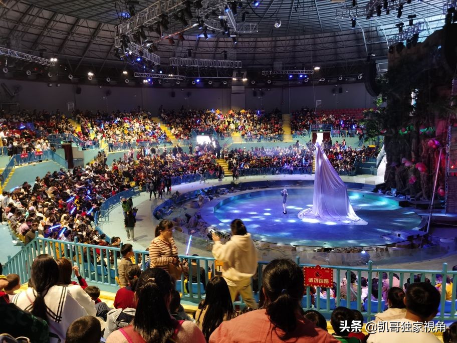 不一样的南通动物园,南通森林野生动物园和上海动物园