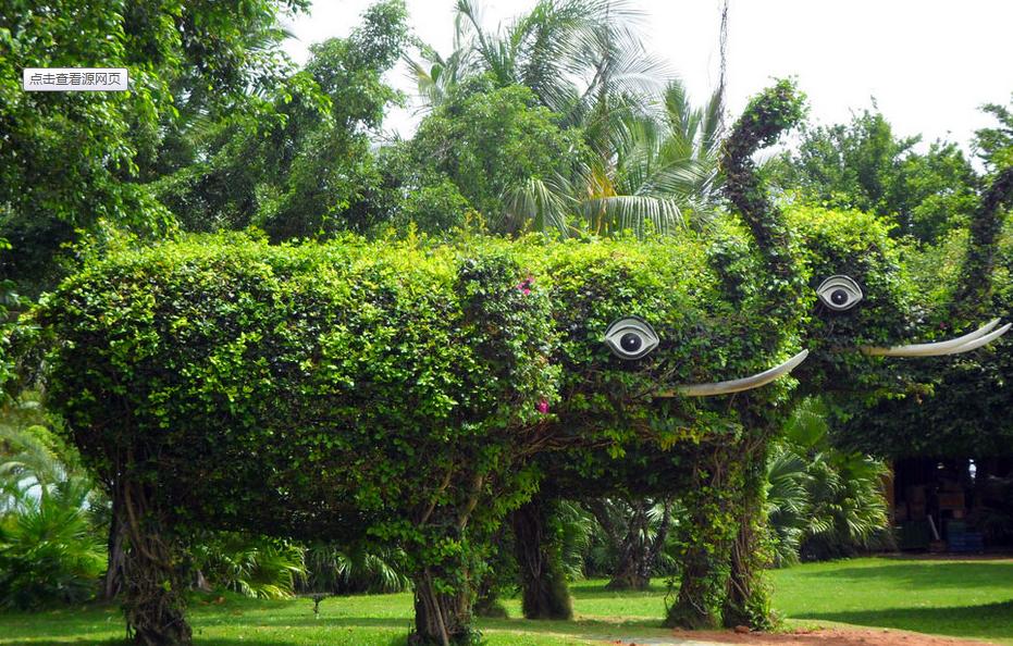 园林景观和园艺,园林风景园林区别