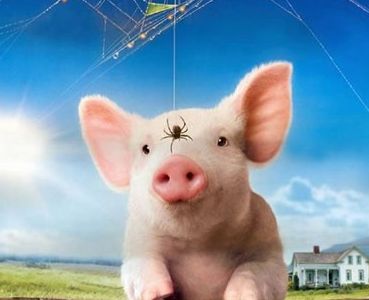 CharlottesWebChapter7BadNews,2学习笔记