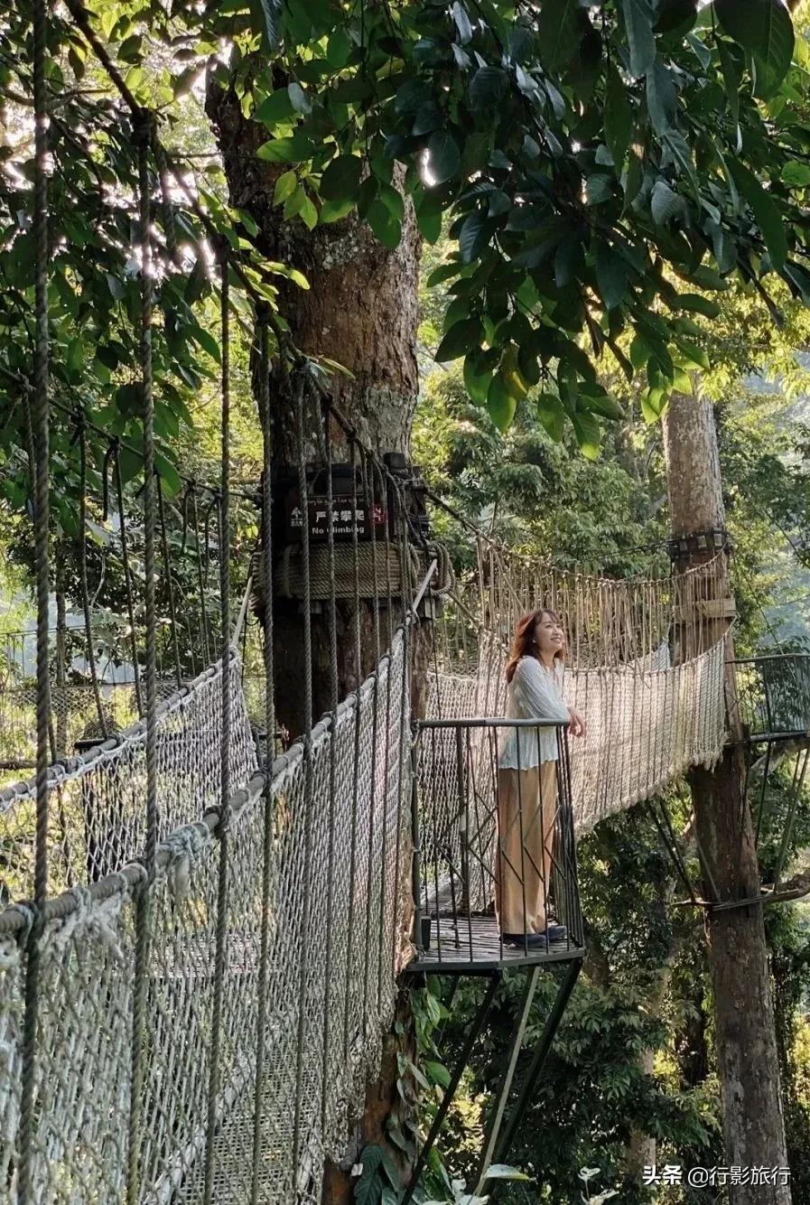 云南西双版纳地方介绍,云南西双版纳旅游简介