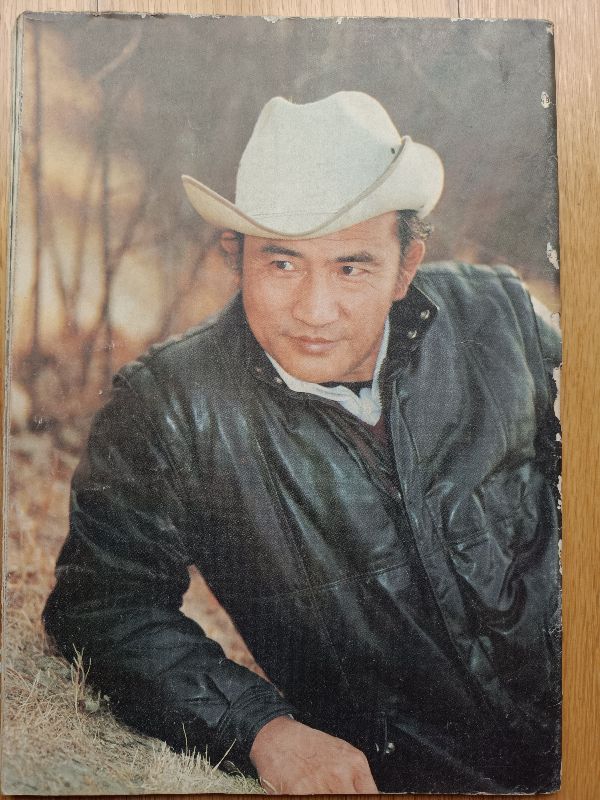 那些年我们看过的广告原创版,那些年我们看过的杂志小说