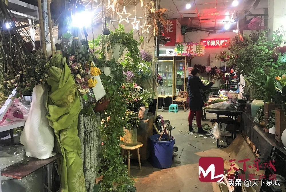 看见春天的样子,看到春天的样子