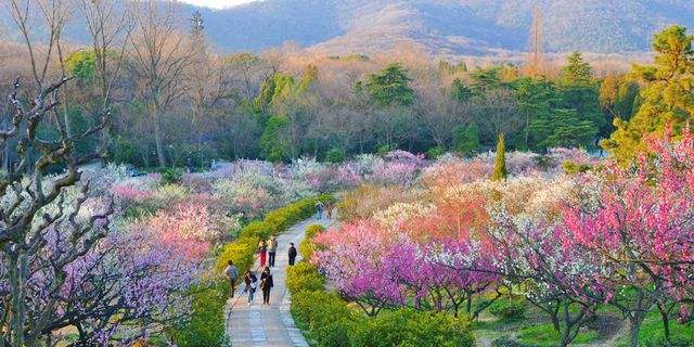 值得一去的南京旅游点,南京旅行攻略过年