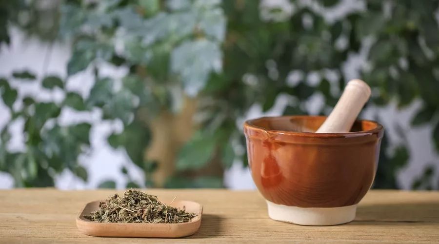 药人搭配,最有效的药方