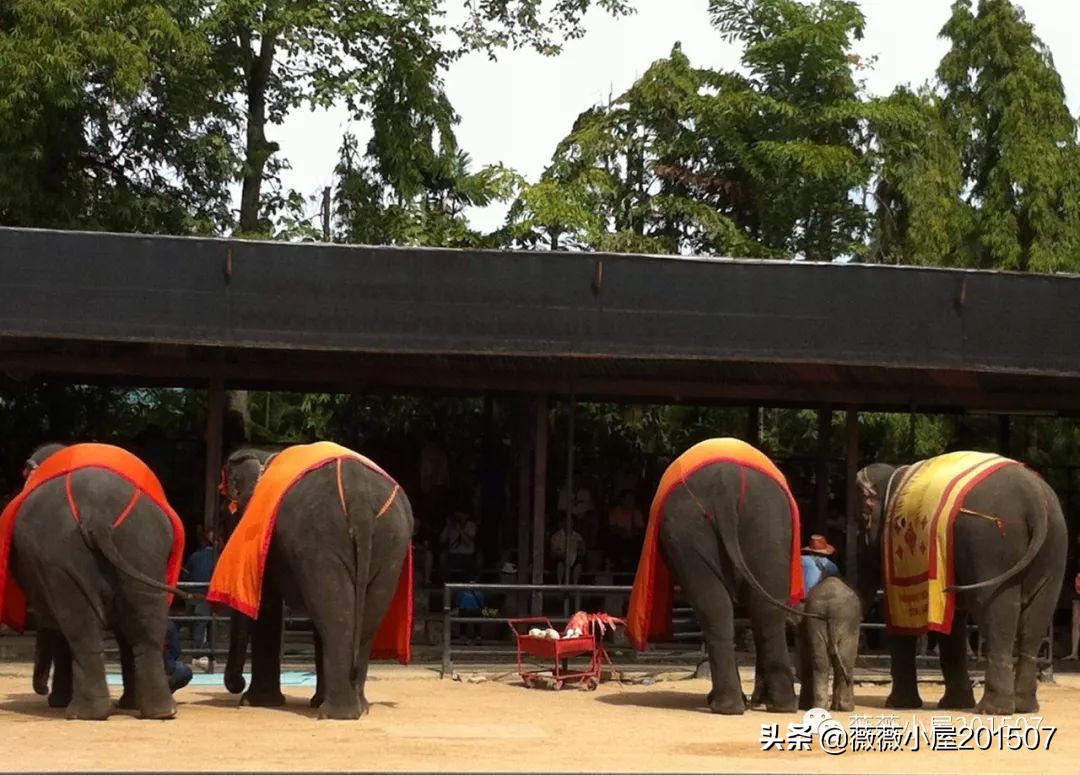 泰国为东南亚最具异域风情的国家,带你领略不一样的泰美丽曼谷