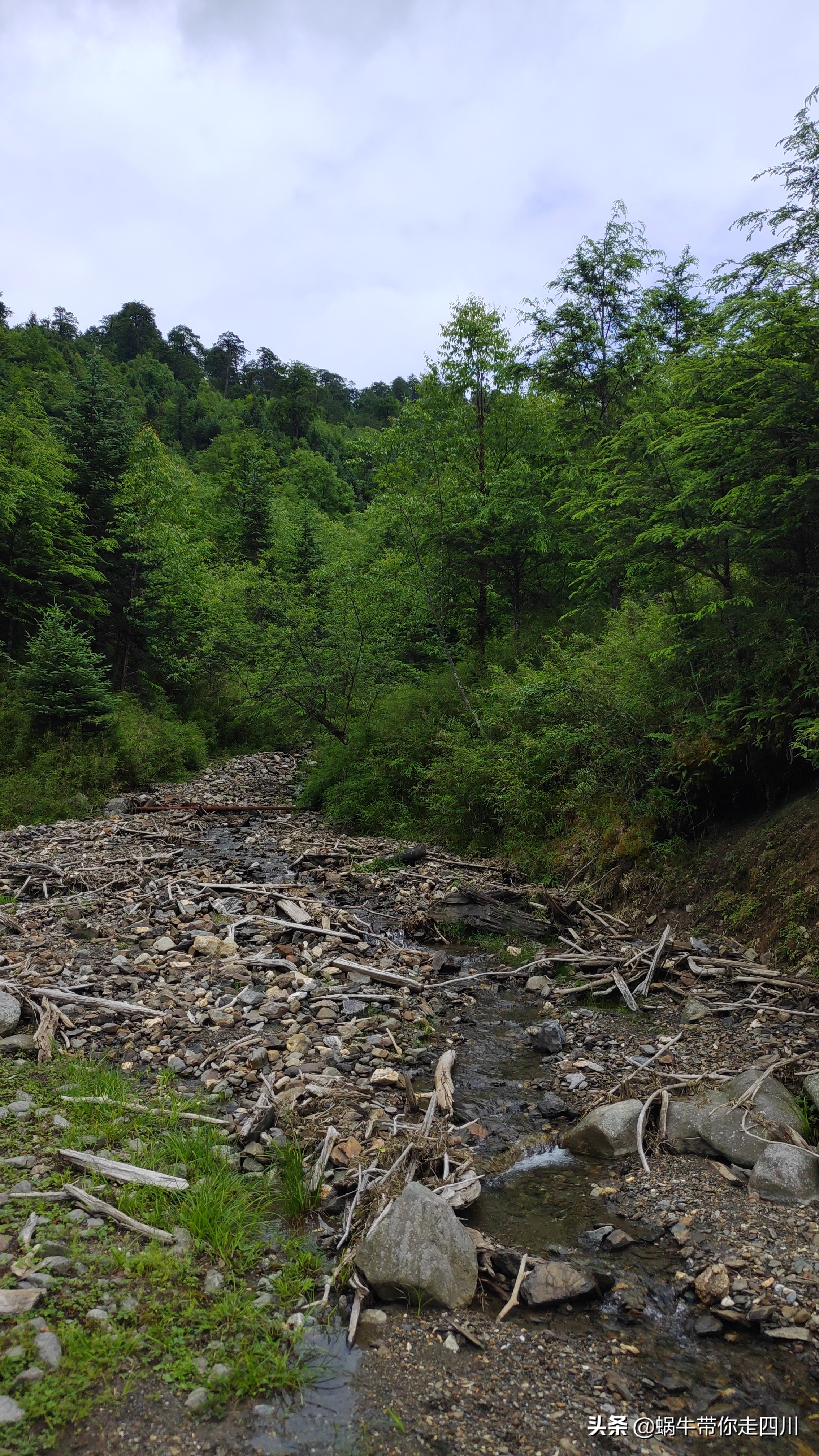 带小朋友出去看小动物,带小孩去海洋动物园