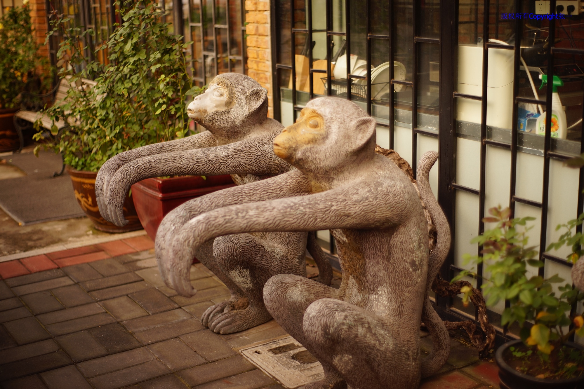 凤凰dc818相机现在能用吗,凤凰dc818多少钱一台