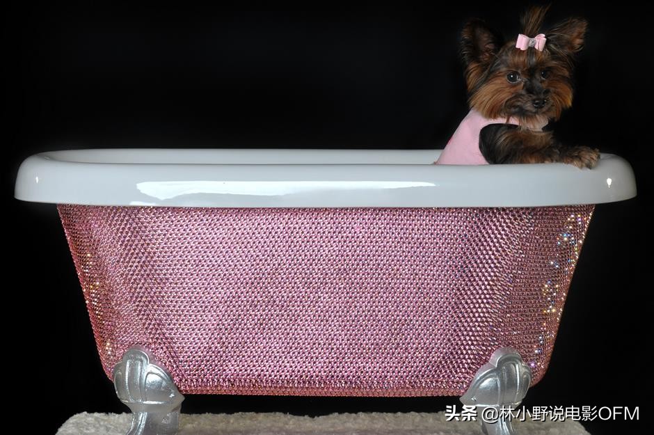 尼古拉斯凯奇凶宅,盘点尼古拉斯凯奇名场面