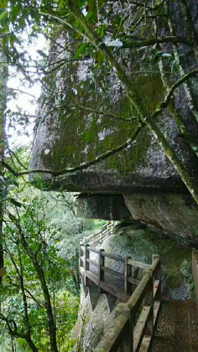 鬼斧神工崖柏,鬼斧神工刺青工作室