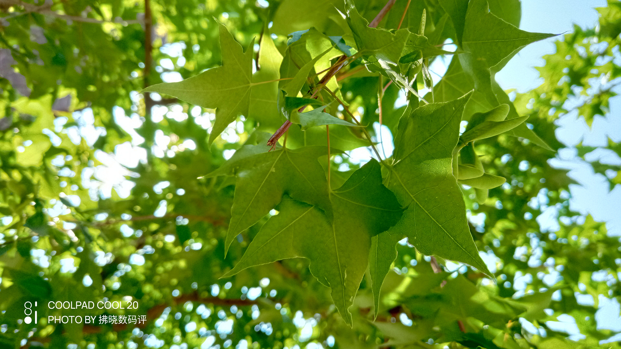 酷派cool20测评游戏,酷派cool20发布时间