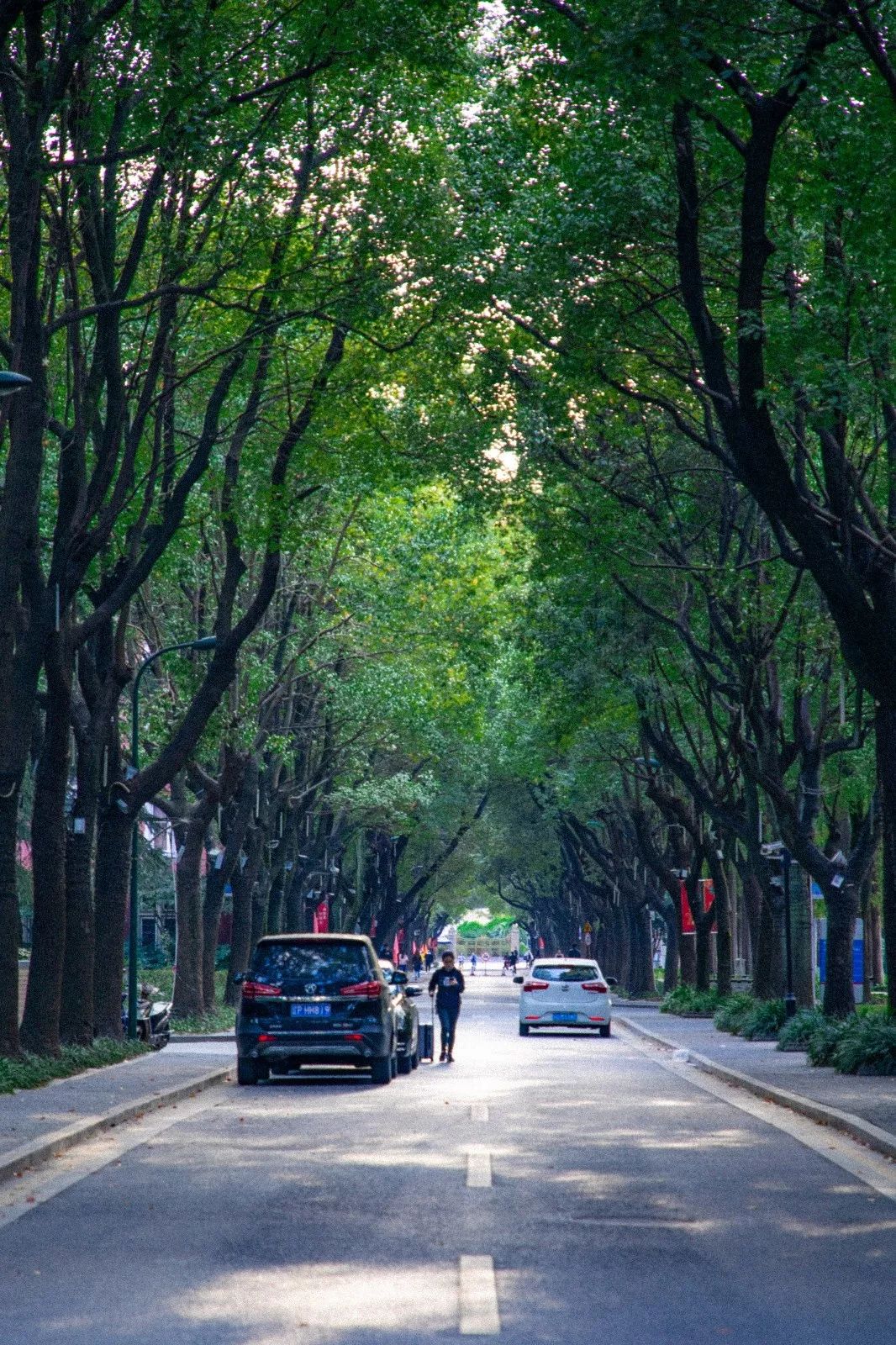 高校食堂大盘点,大学食堂盘点