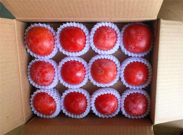 火晶柿子为什么火爆,火晶柿子假的