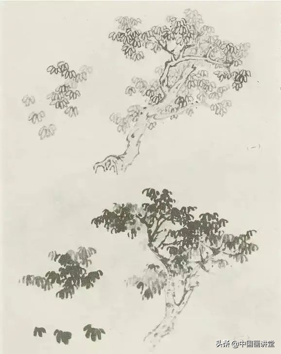 缠枝、挺杆、屈节、钮裂、一棵树如何画？看了这篇你绝对能学会