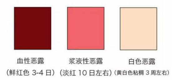 孕妈咪产后恢复宝典,vidaready