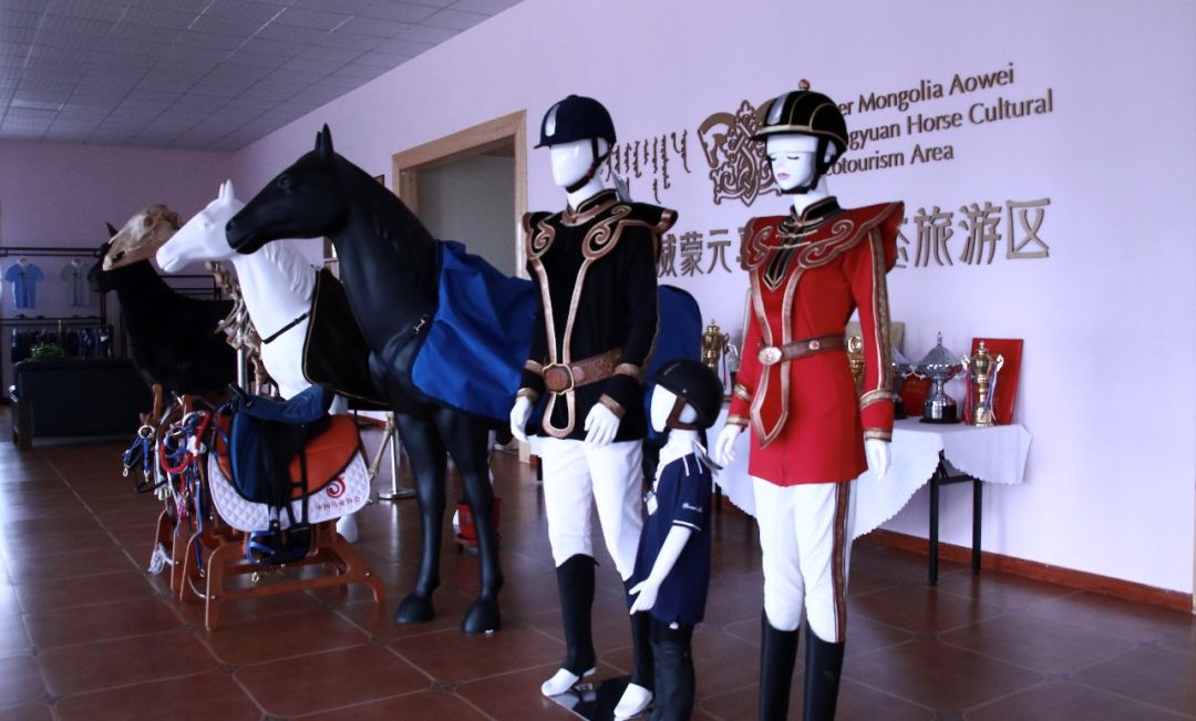 马匹用具介绍,马匹种类介绍