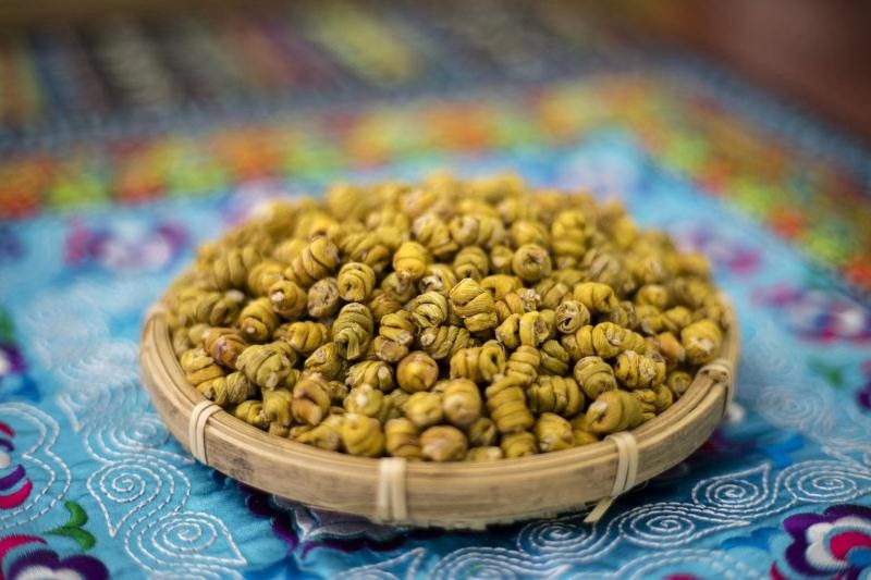 怎么样选择优质的铁皮石斛,铁皮石斛干条如何挑选