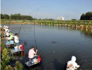 钓友们喜欢哪一种钓法,钓友们都喜欢用什么野钓