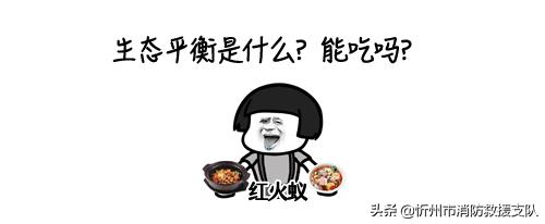 食人蚁袭击人类,一口气看完食人蚁袭击人类