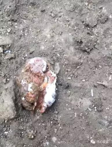 鸡拉黑粪便怎么治疗,鸡拉黑便的原因及治疗方法