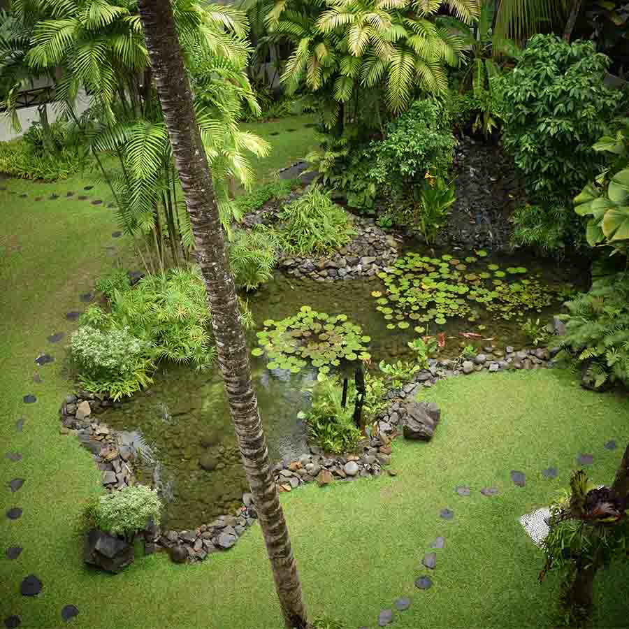 沙巴文化之夜舞蹈,沙巴舞完整版视频